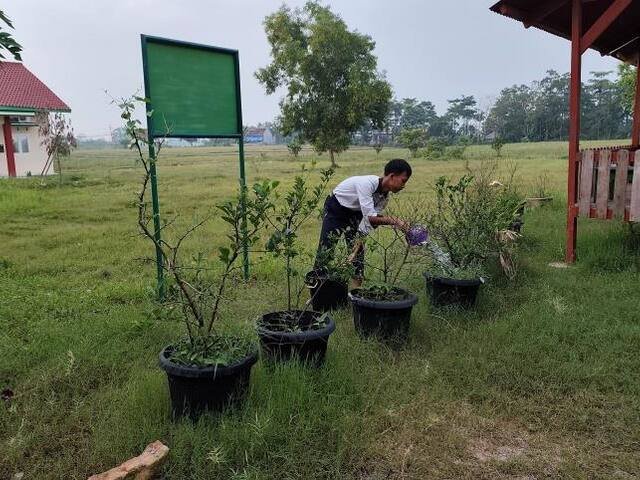 Menyiram Tanaman